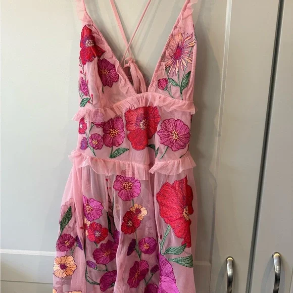 For Love And Lemons Pink Floral Mesh Backless Dress **MISSING THE SLIP*** - Picture 6 of 13